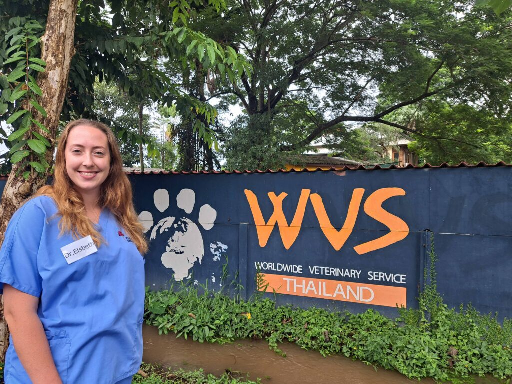 VetPartners supporting colleagues volunteering overseas