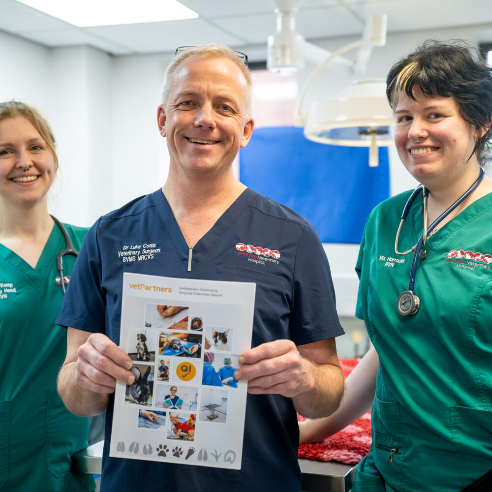 VetPartners reveals its pride in practices as group celebrates success of surgical outcomes