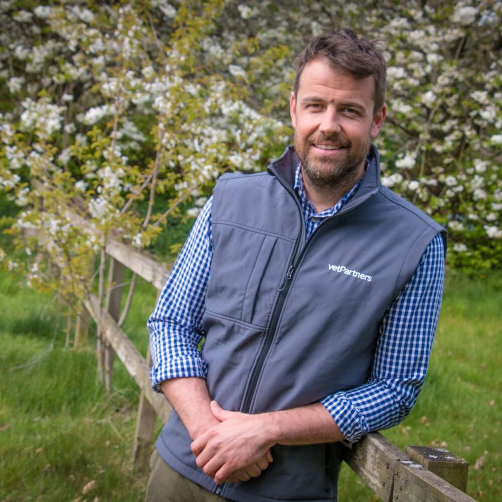 VetPartners launches new awards to celebrate progressive farming