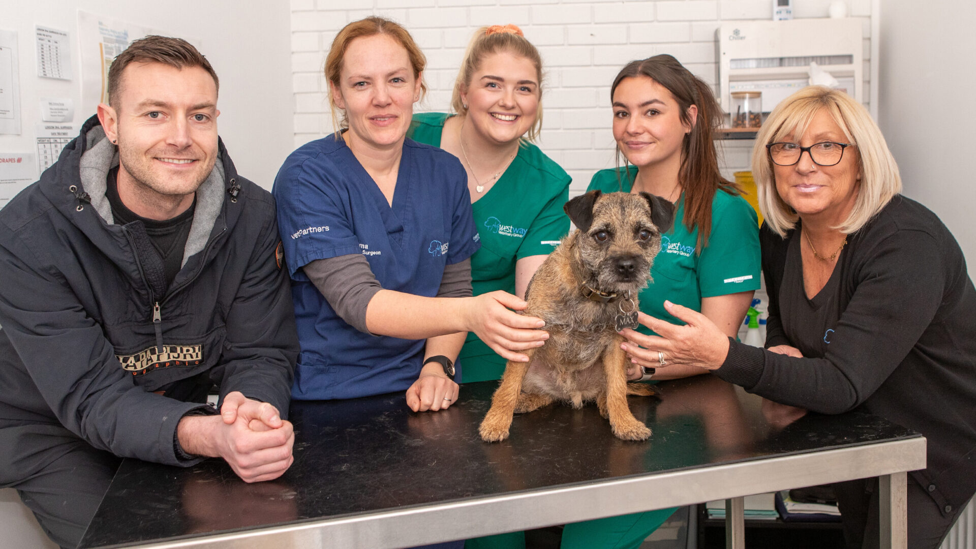 Vet warning after greedy Border Terrier nearly dies after stealing tasty treat