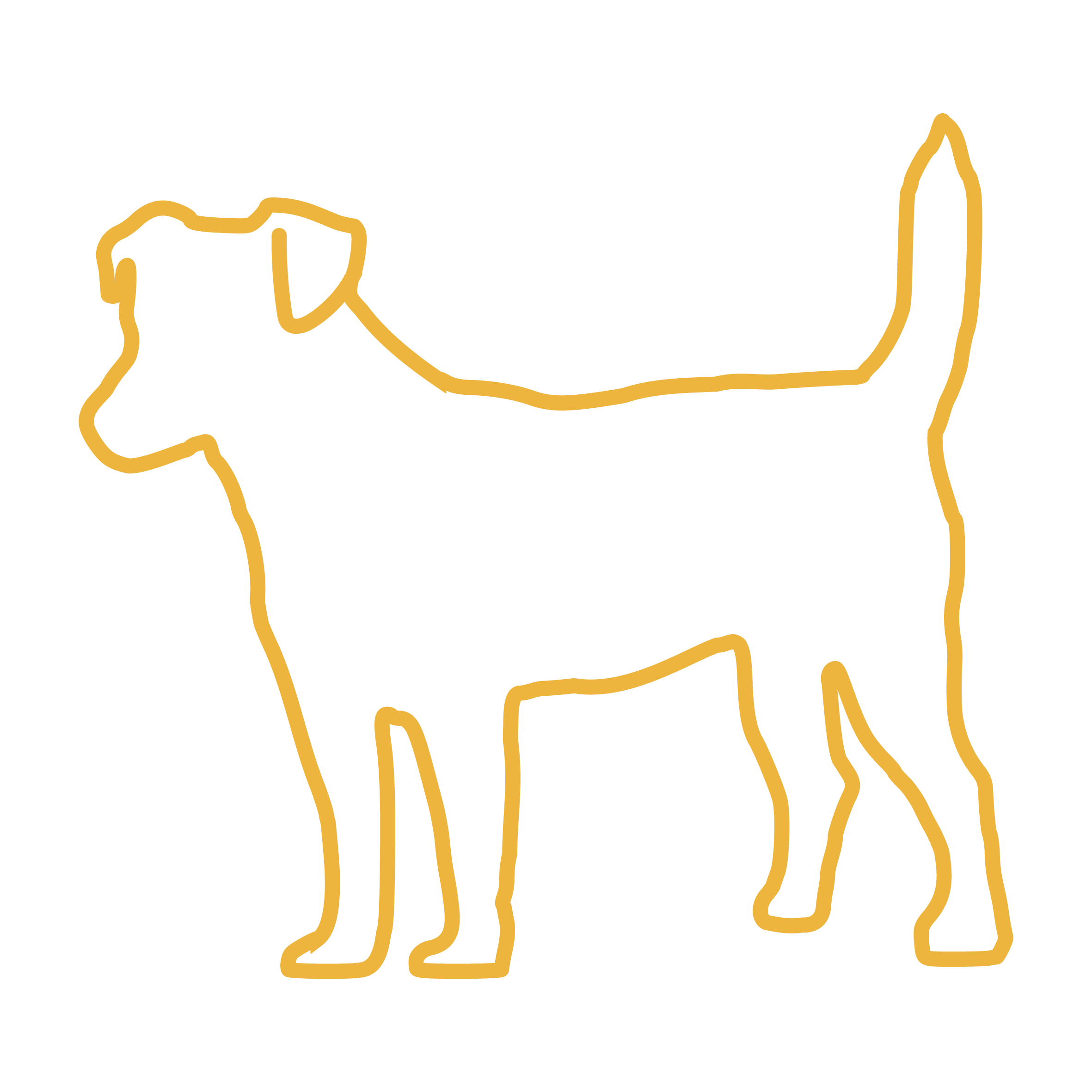 Small Dog