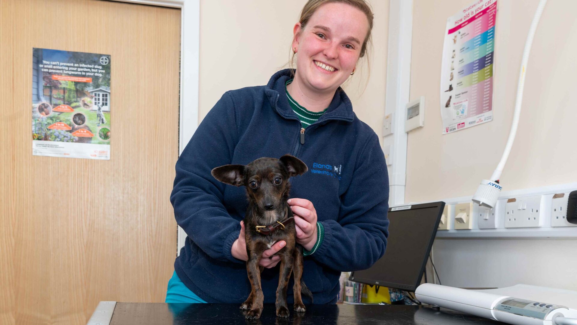 Vet issues lungworm warning after puppy needs life-saving treatment