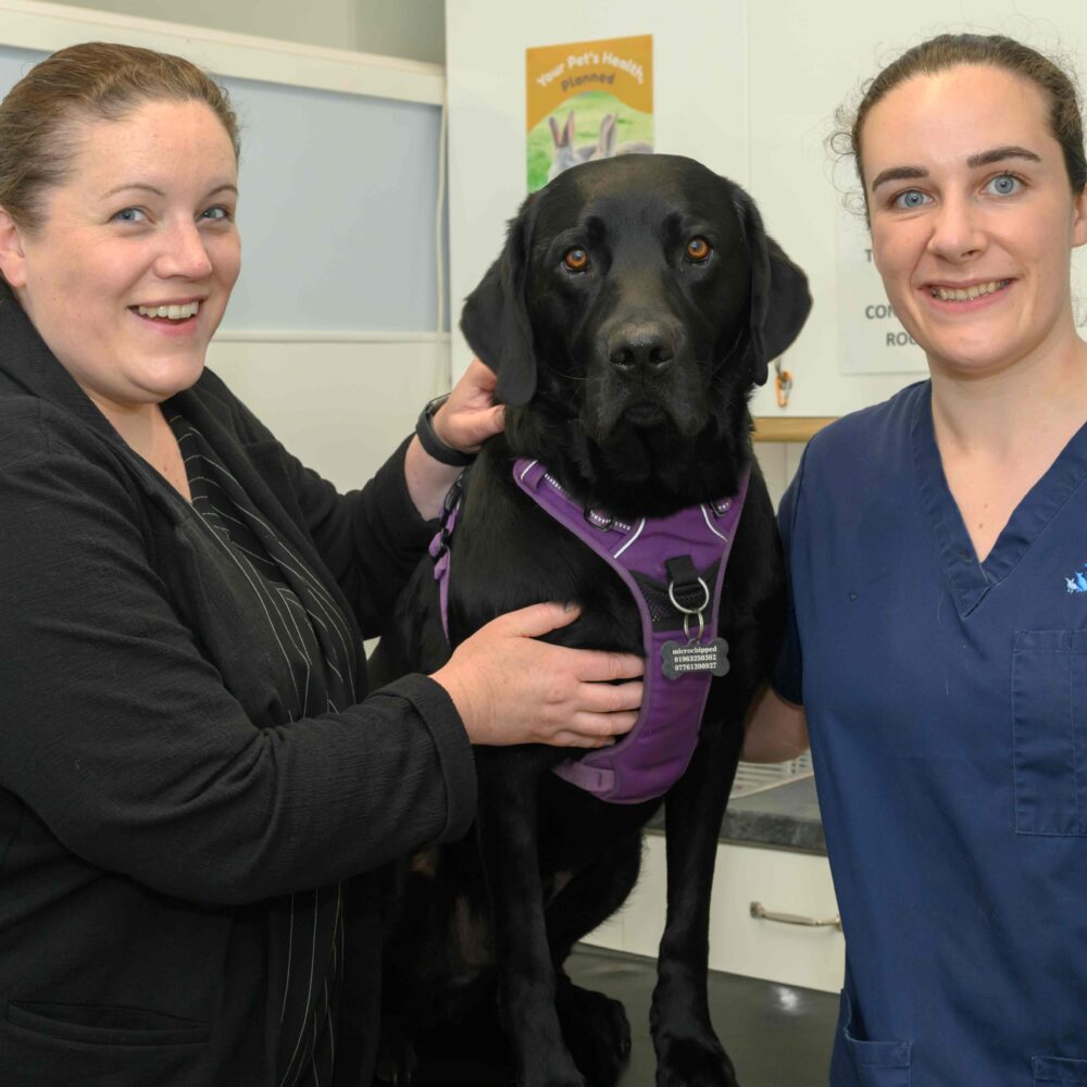 Vet issues tetanus warning after pet needs life-saving treatment