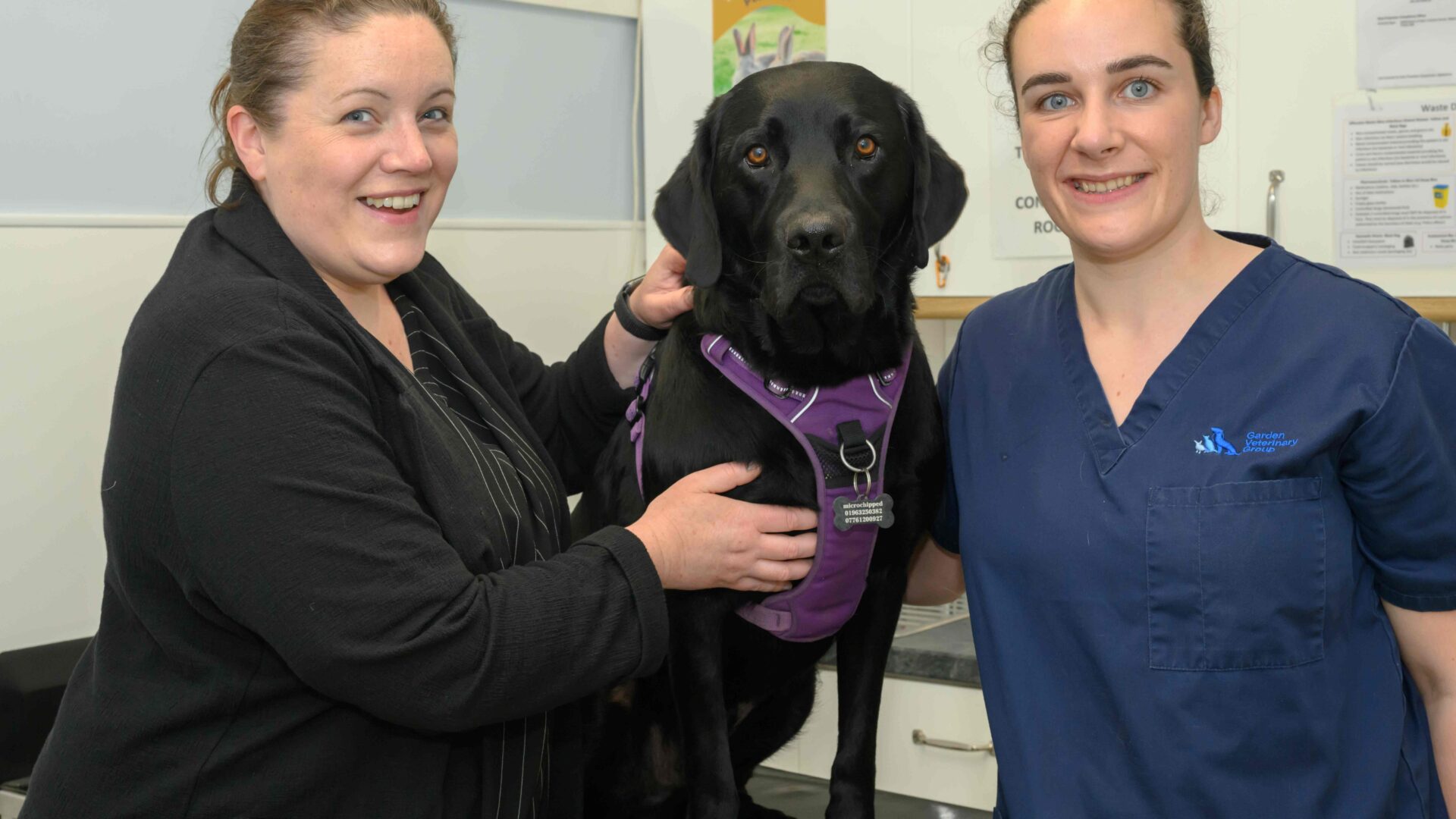 Vet issues tetanus warning after pet needs life-saving treatment