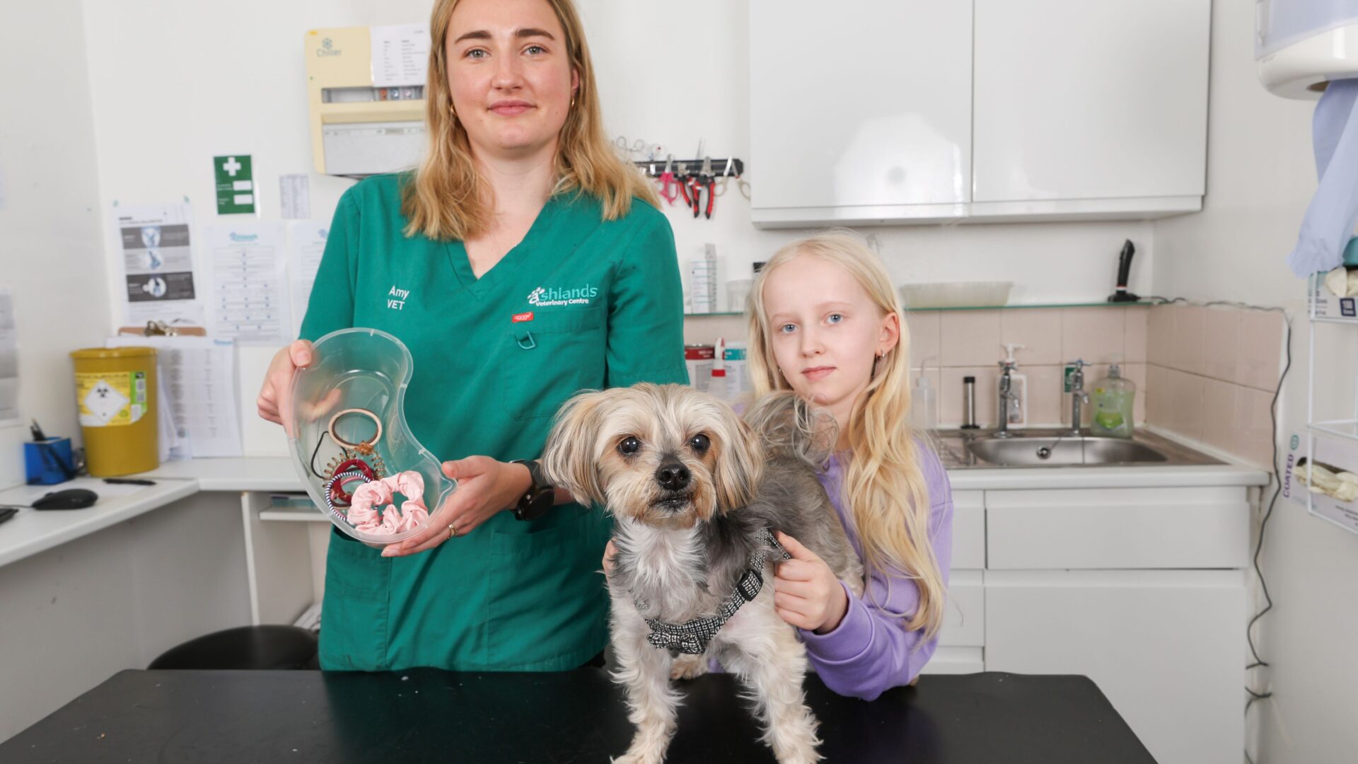 Vets issue warning after dog wolfs down 80 hairbands