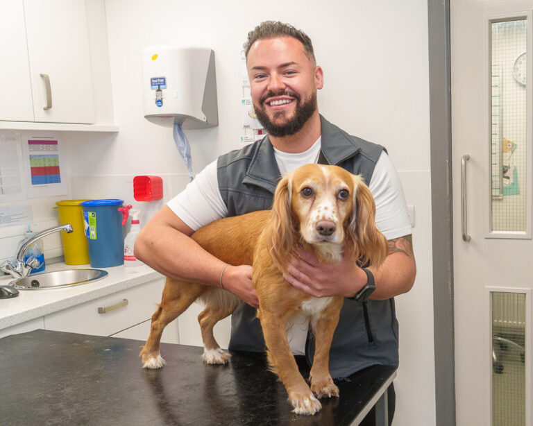 Bell And Partners Vets Coventry