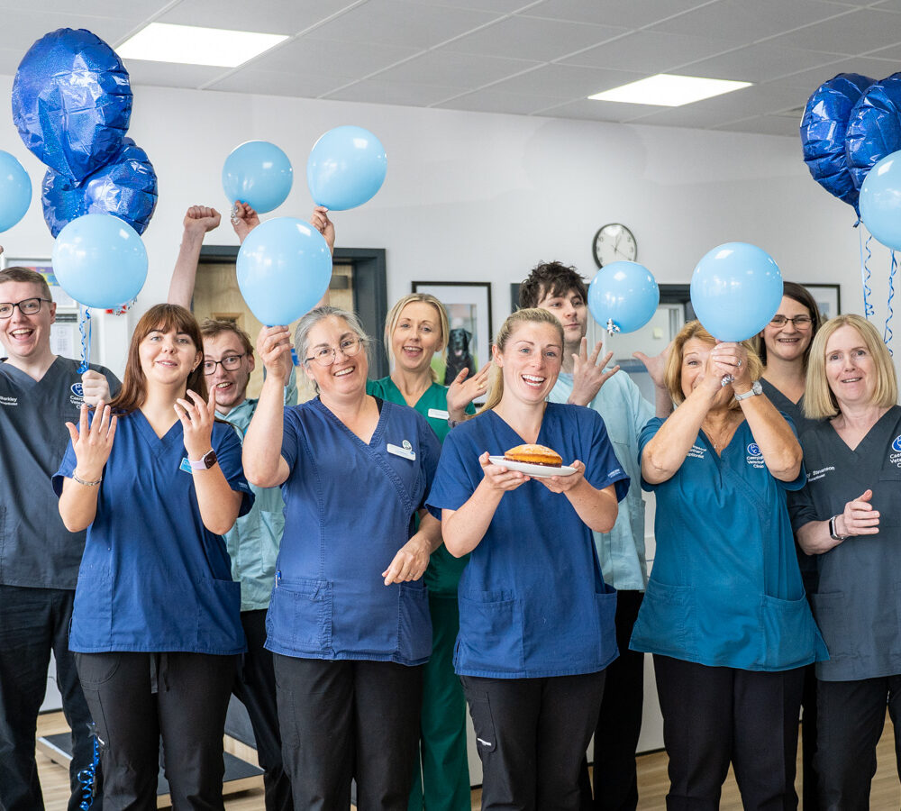 Boost for pets as South Wales vet practice opens new clinic