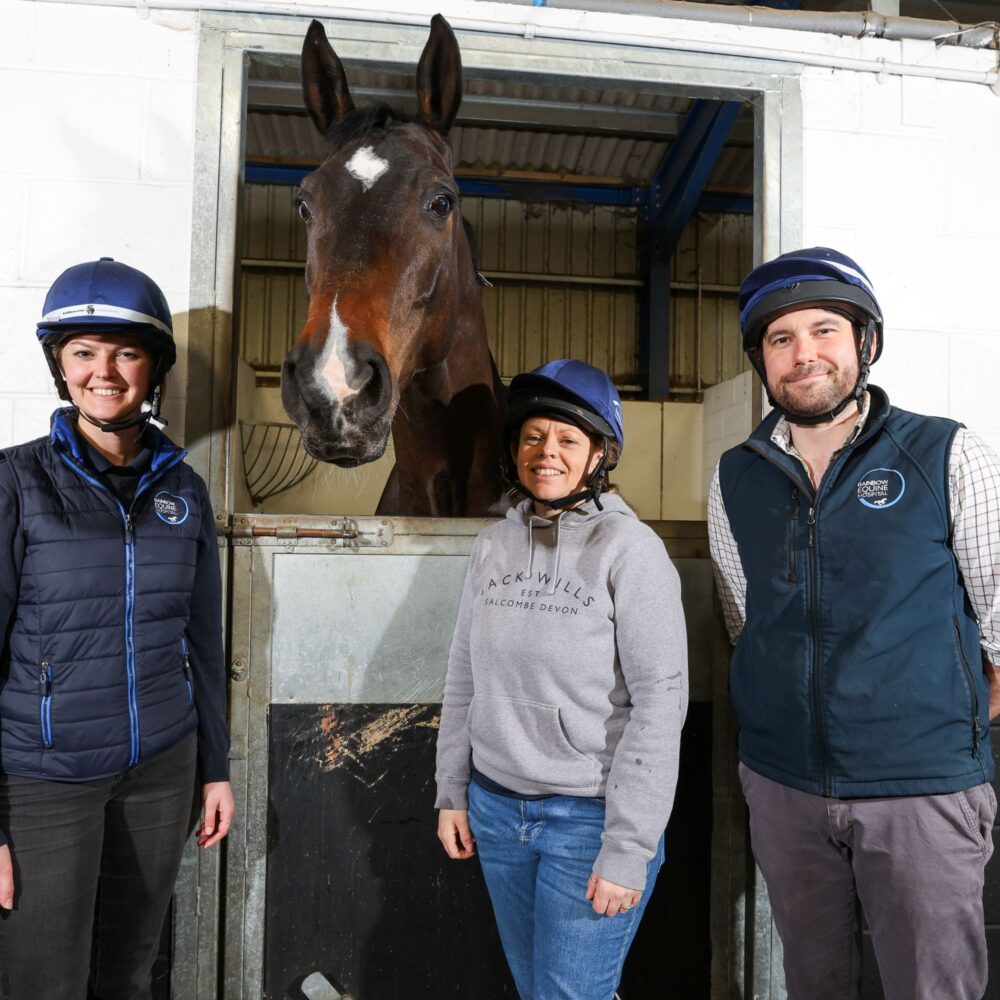 Equine hospital performs pioneering surgery to remove stomach tumour