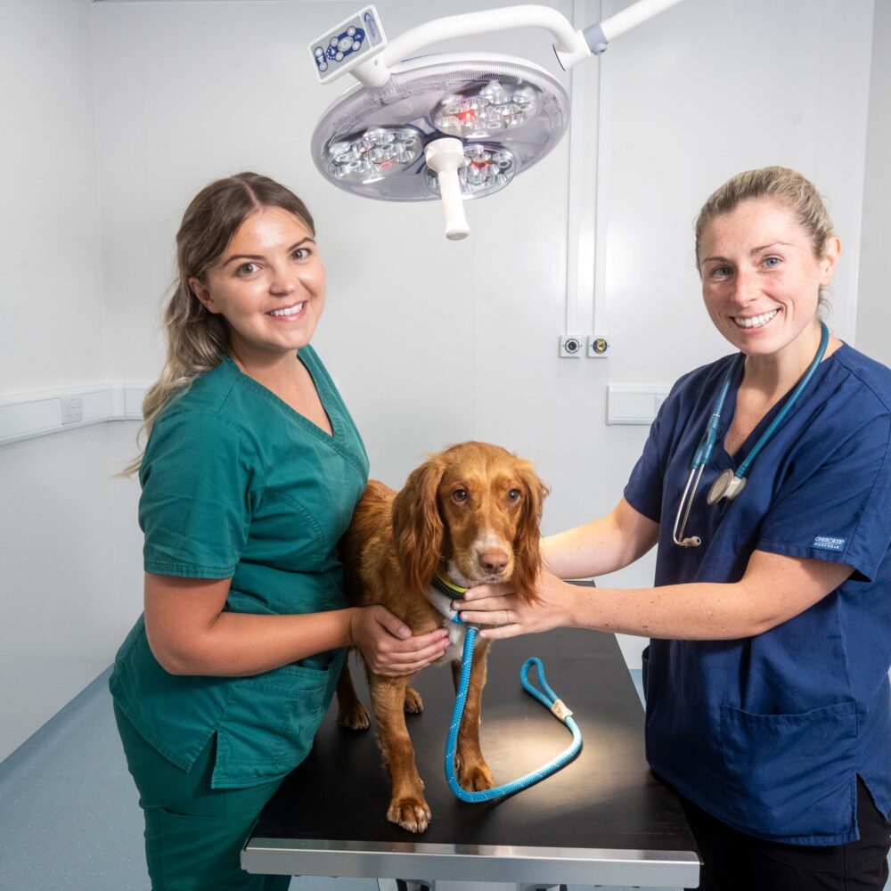 Boost for pets as South Wales vet practice opens new clinic Boost for pets as South Wales vet practice opens new clinic