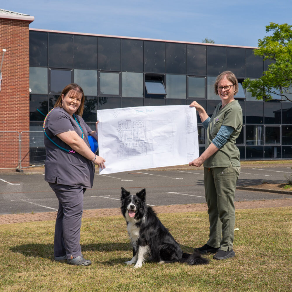 Boost for pets as Clifton Lodge Vets set to open new Hartlepool practice