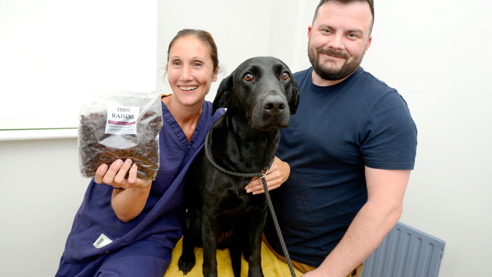 Vet warning over raisins after much-loved family pet undergoes emergency treatment