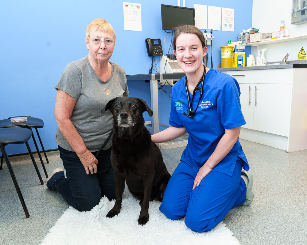 Fish hook warning after beloved family pet suffers painful and distressing injuries