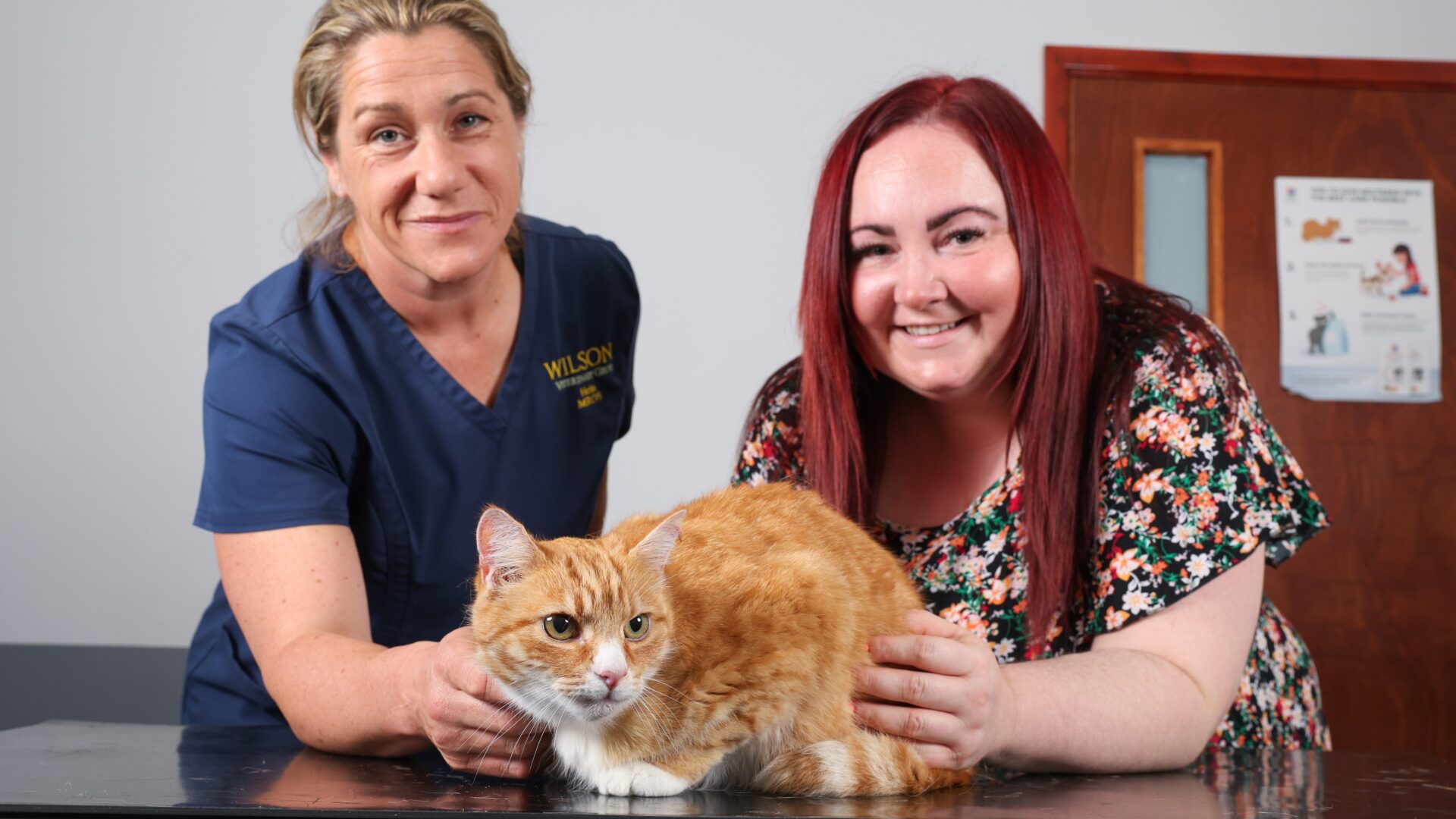 Garfield the cat makes amazing recovery after using up one of his nine lives