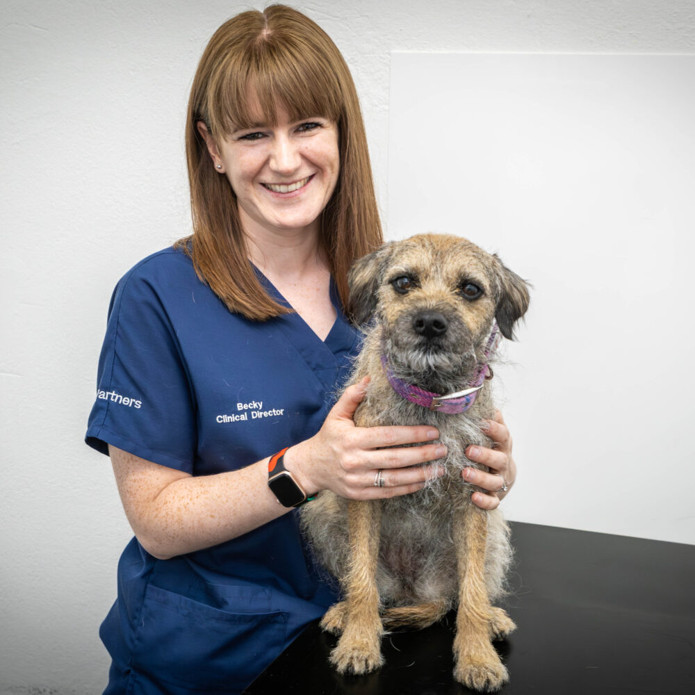 Vet Becky raising awareness of endometriosis to support colleagues