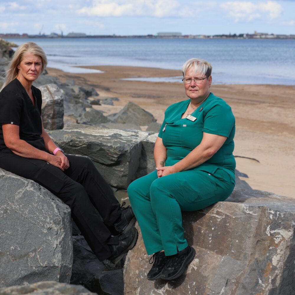 Veterinary practice warns of worrying number of deaths among common seal pups