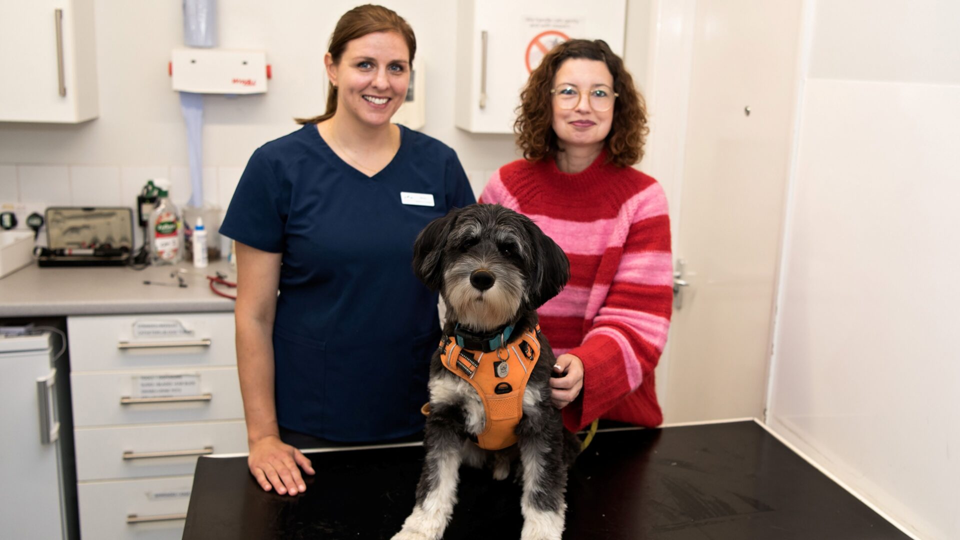 Vet’s warning to pet owners after dog needs life-saving surgery