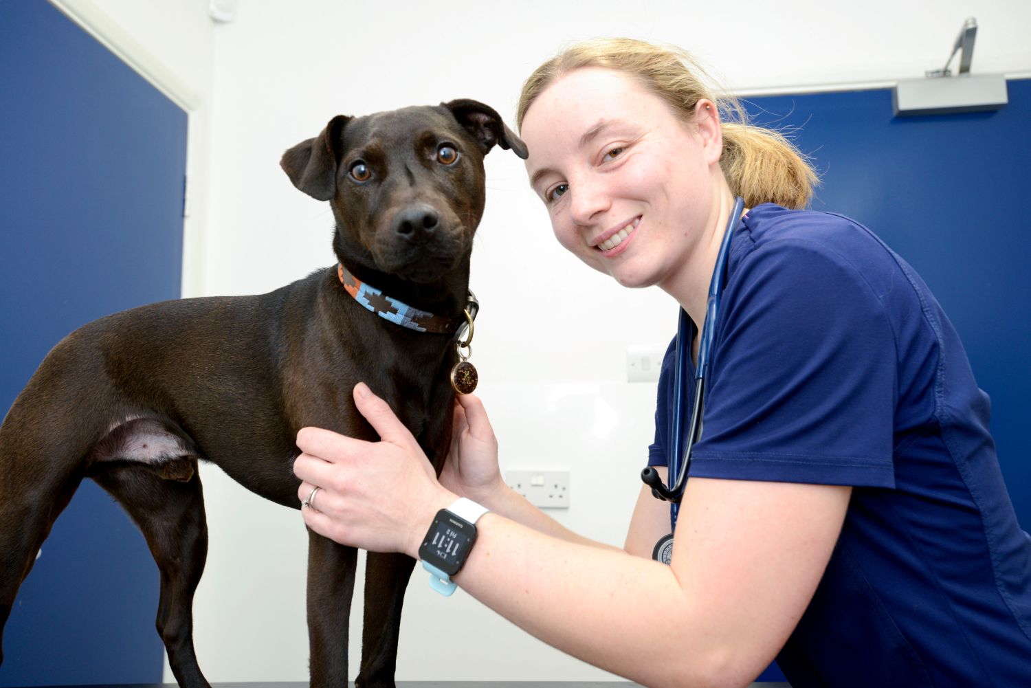 Vet Tamsin is inspiring others by living her dream