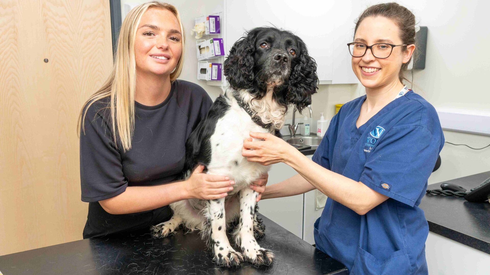 Gloucester vets pet treat warning after removing pig’s trotter from dog’s throat
