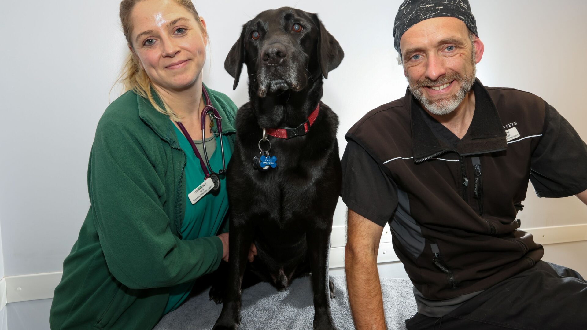 Miracle dog saved by Dorset vets after enormous tumour causes heart to stop
