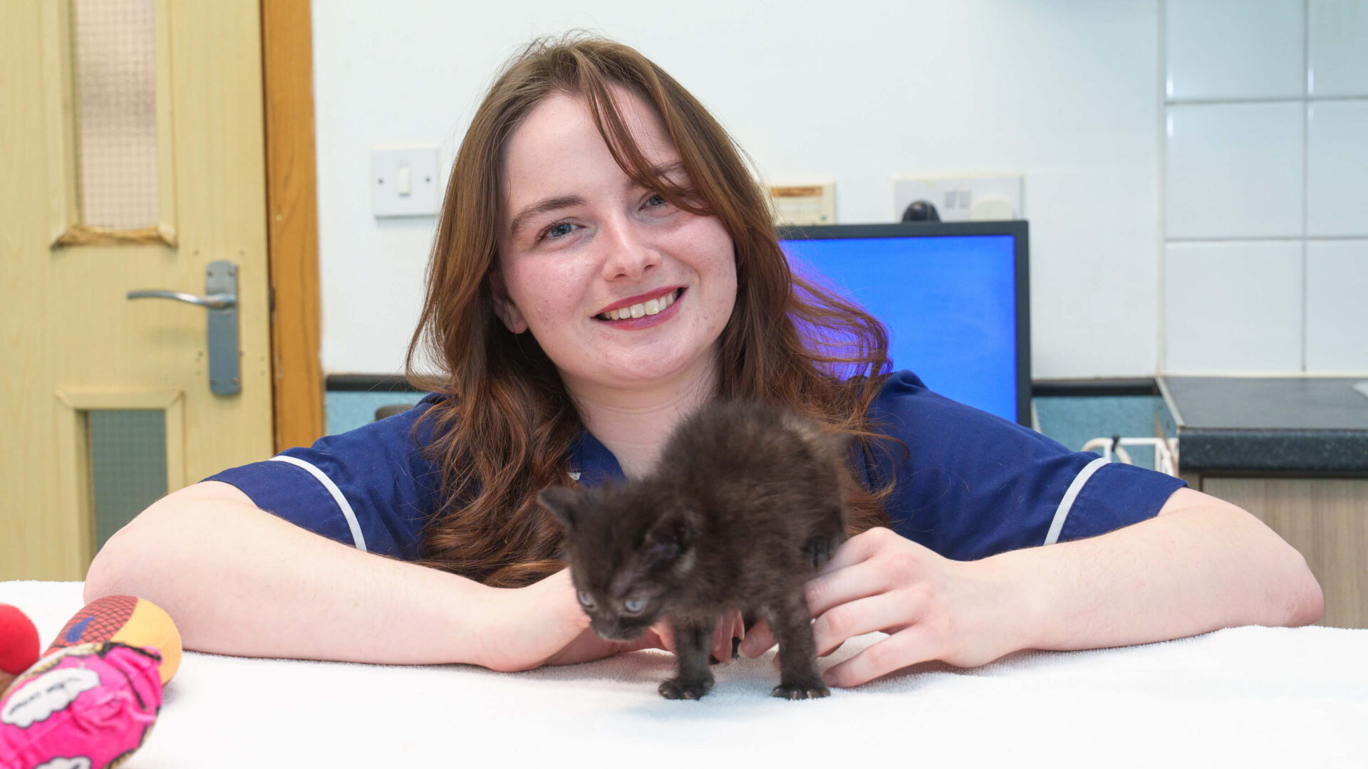 Christmas miracle as kitten dumped in plastic bag survives – and is seeking loving home