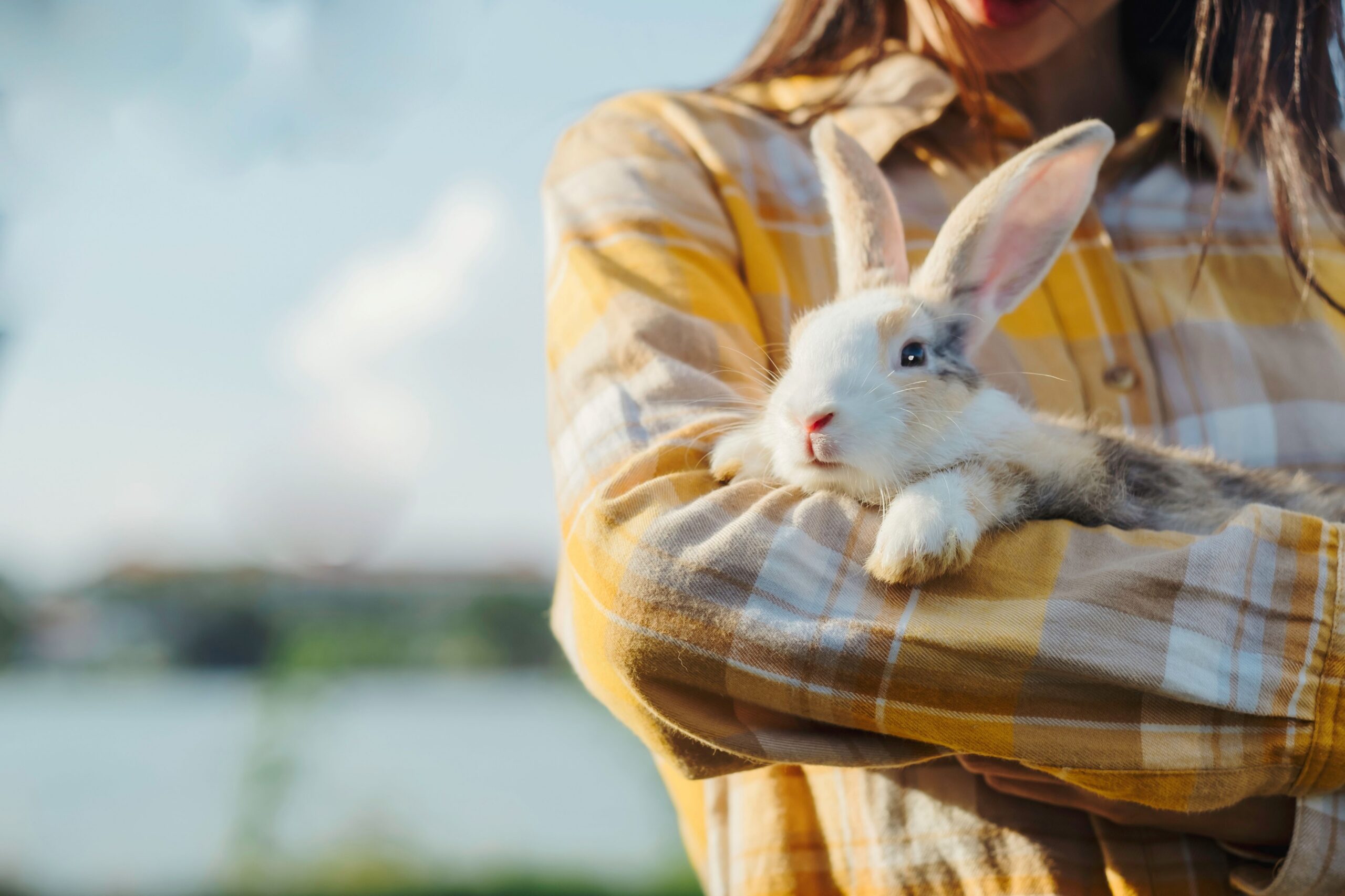 Everything you need to know about rabbit parasites | VetPartners UK