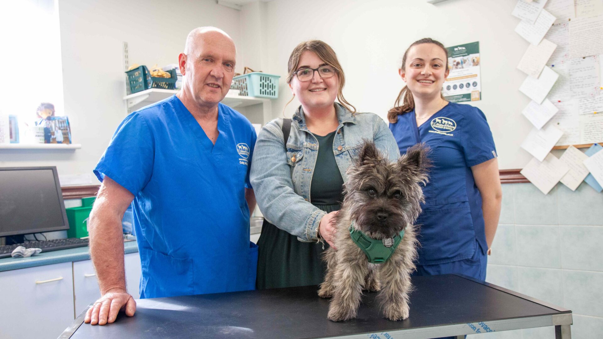 Life saving surgery for puppy Pickle who swallowed sock