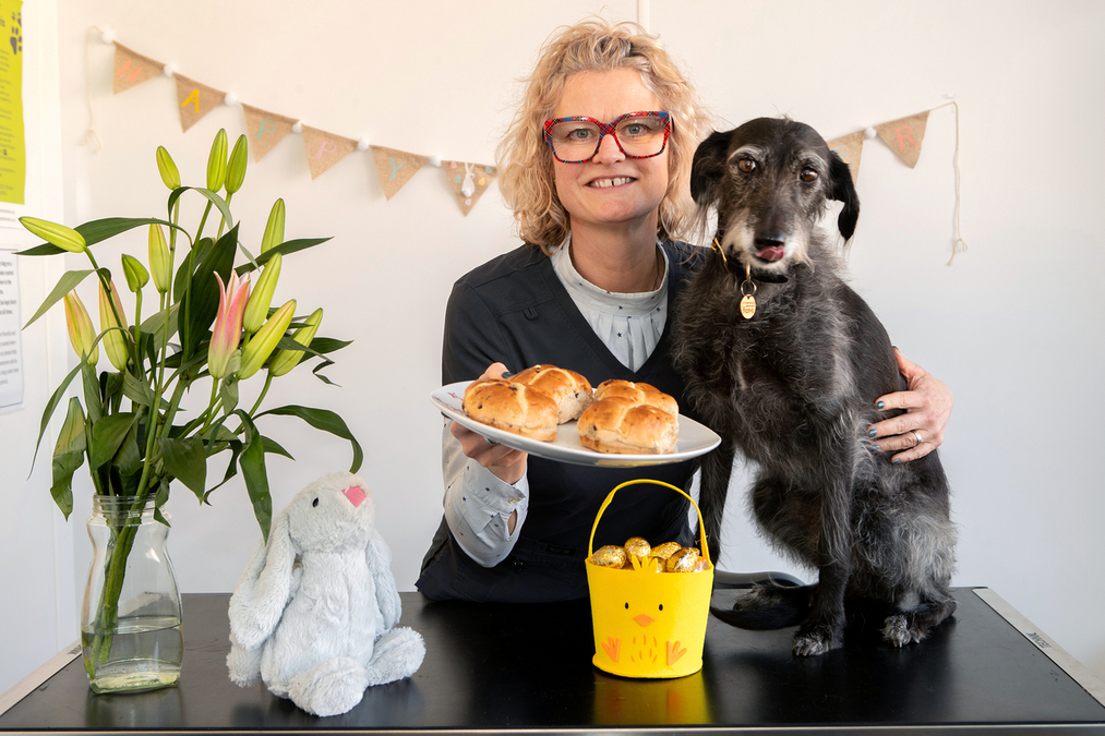 Chocs Away!  Vet shares advice to help keep pets safe this Easter