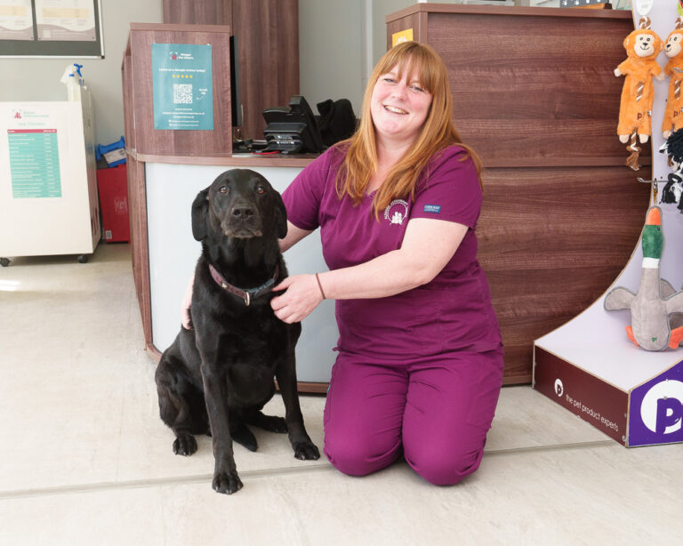 Vet appeals for responsible nappy disposal after pet emergency ...