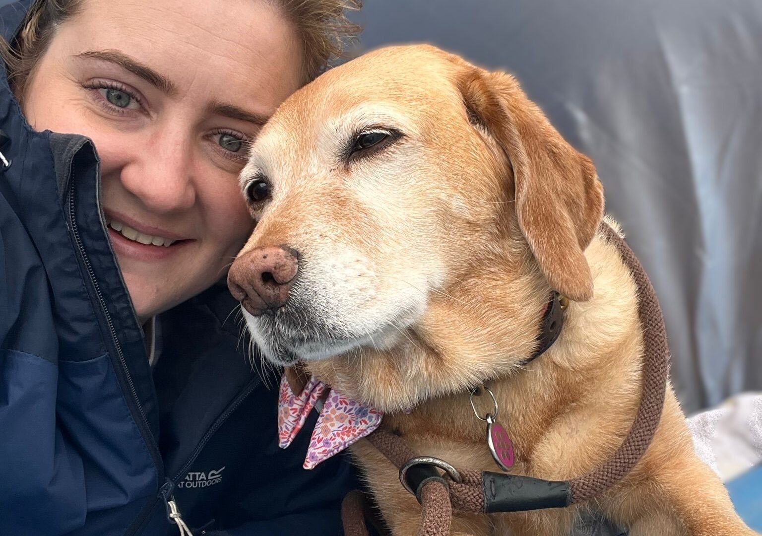 Vets urge owners to spot dog anxiety early and keep interactions safe