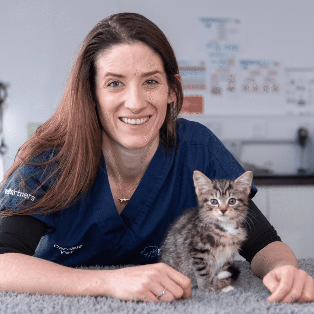 Vet Caroline Scobie with a patient