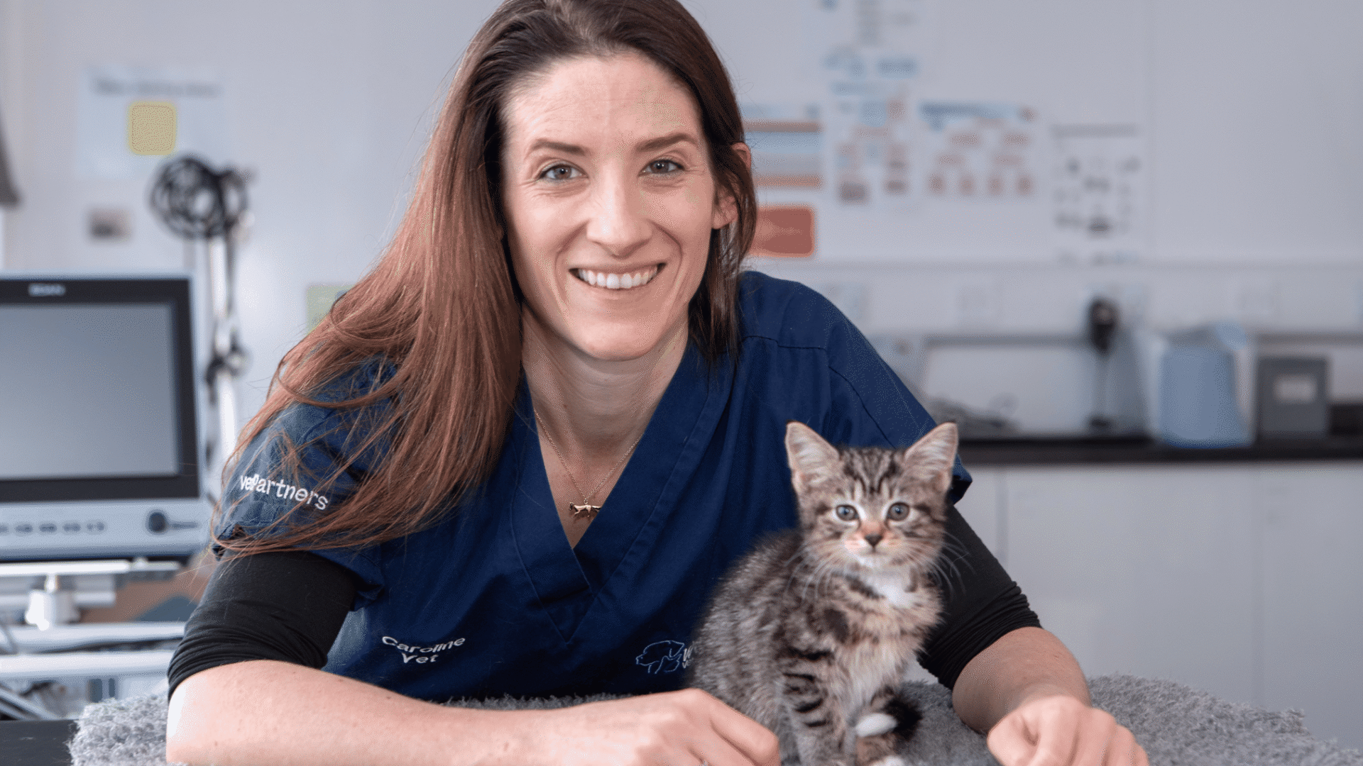 Vets urge pet owners to watch out  for hidden spring hazards