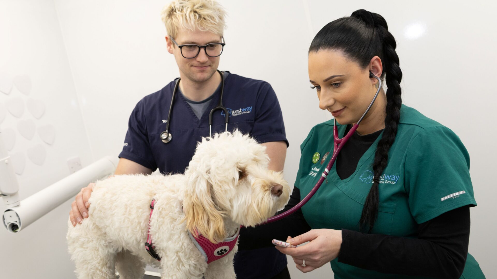 VetPartners’ award winner Jenny champions the future of nursing