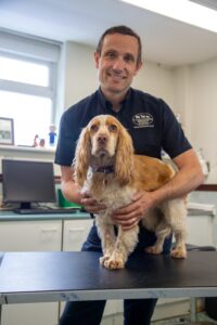 Vet and dog in a veterinary practice consult room