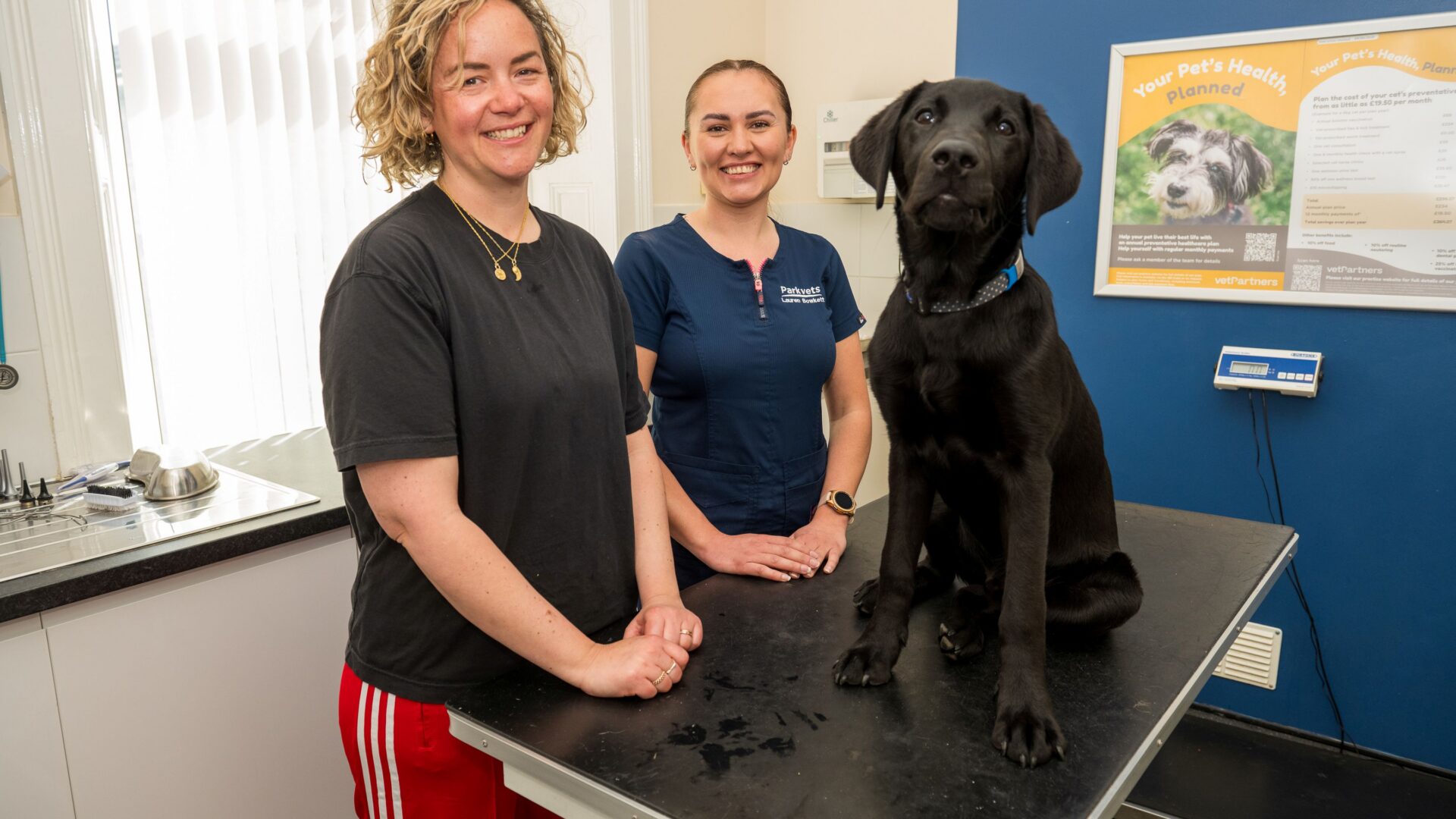 Labrador Ziggy bounces back after swallowing child’s toy