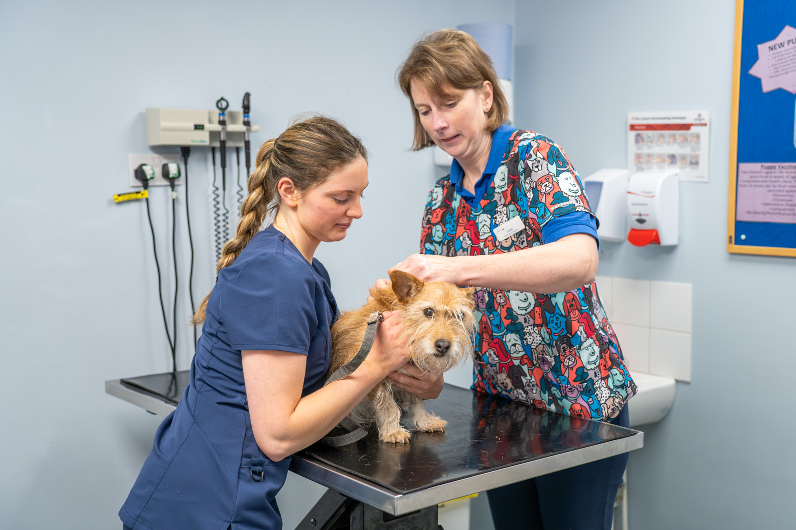 Pets could be left vulnerable as vets remind owners of importance of preventative healthcare
