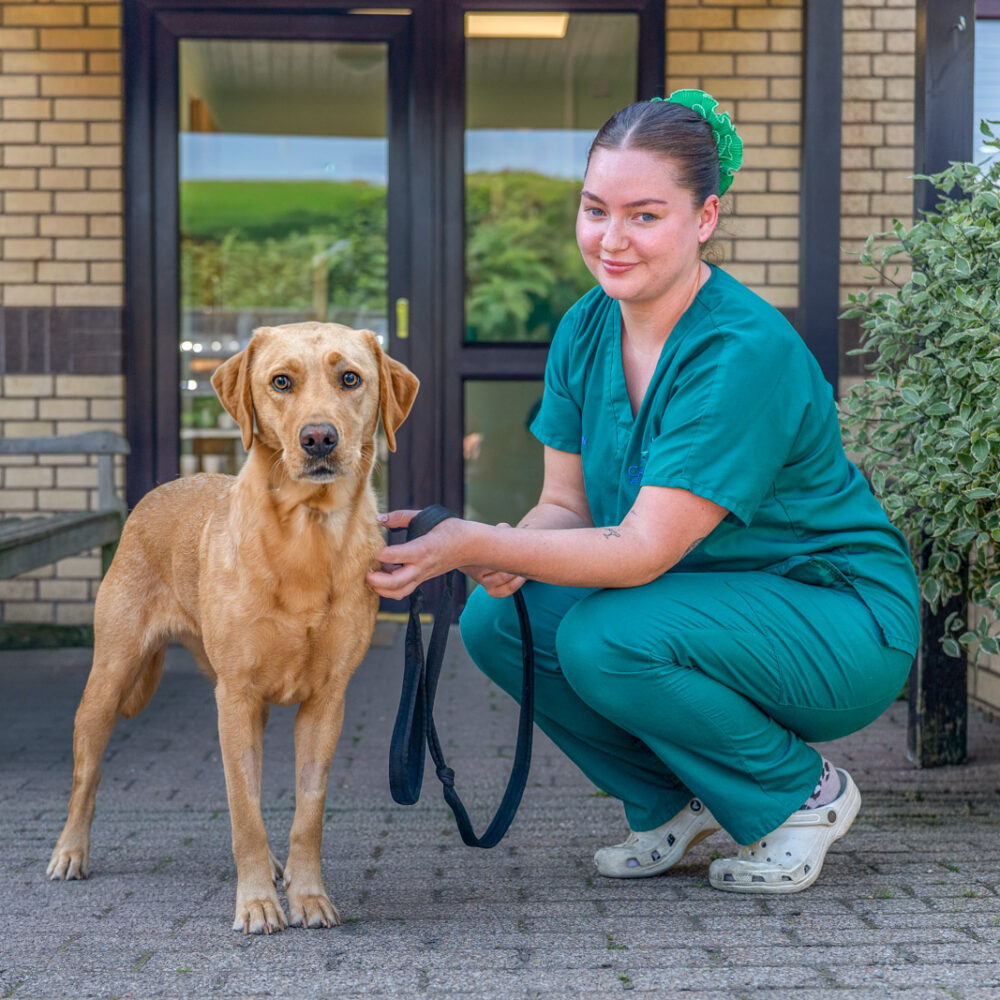 Veterinary nurse with a dog outside a veterinary practice