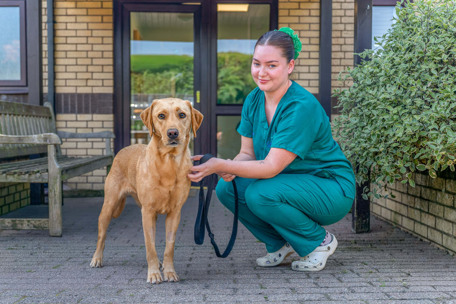 Vets save dog’s life after teddy bear ear causes life-threatening blockage