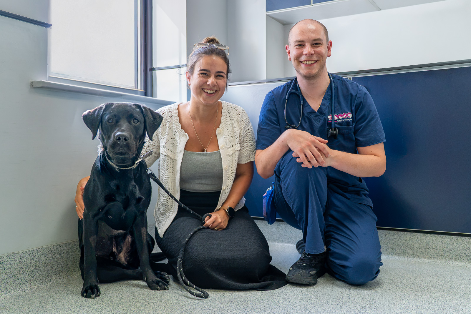 Life-saving surgery for puppy Loki after ruptured bladder emergency