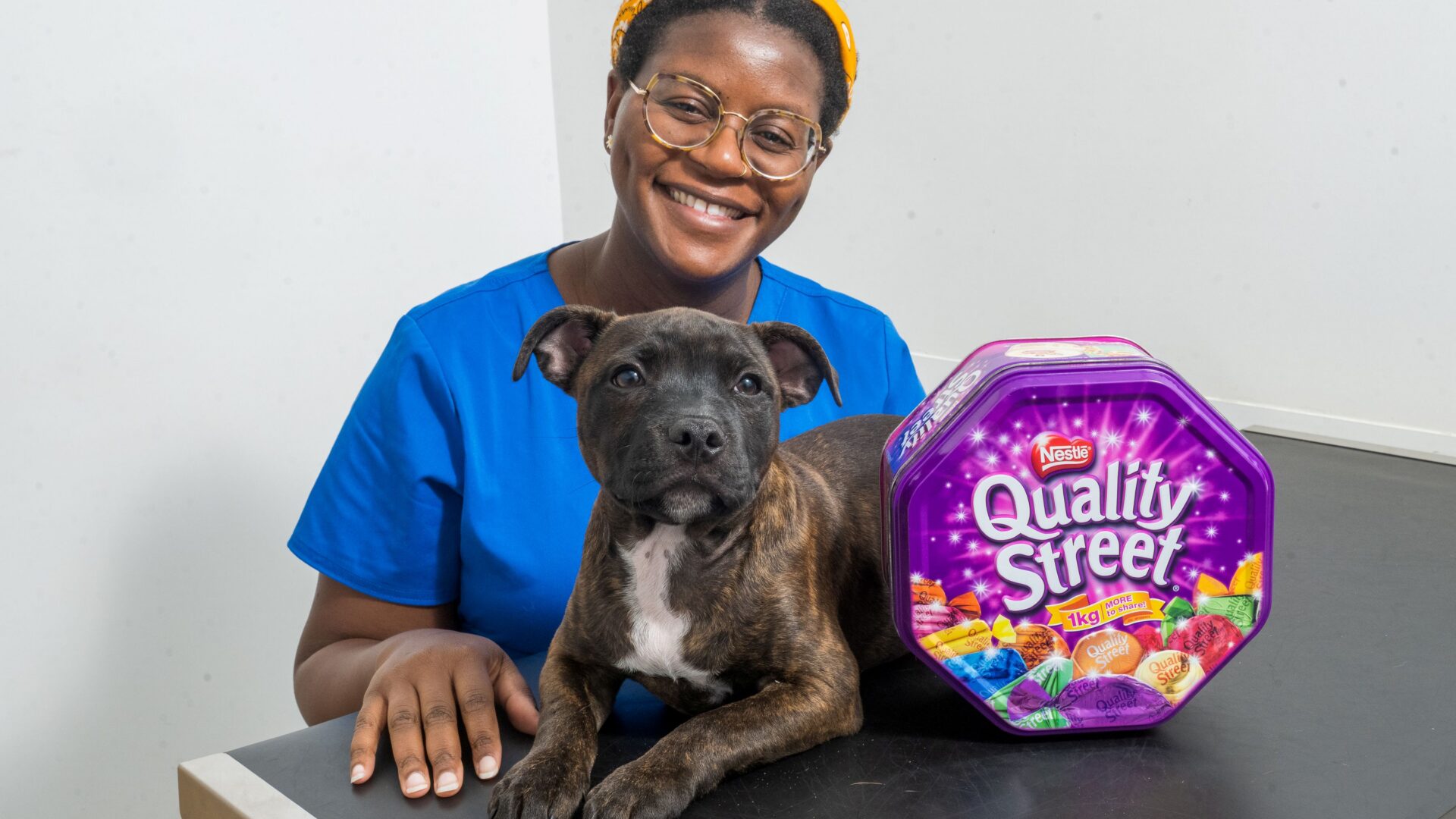 Warning for pet owners after puppy wolfs down tub of chocolates