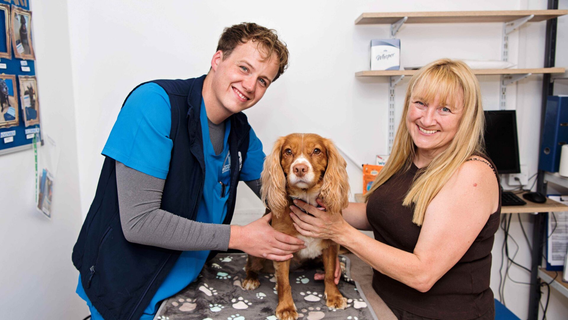 Remarkable recovery for Spaniel Maggie after horrific tree stump injury
