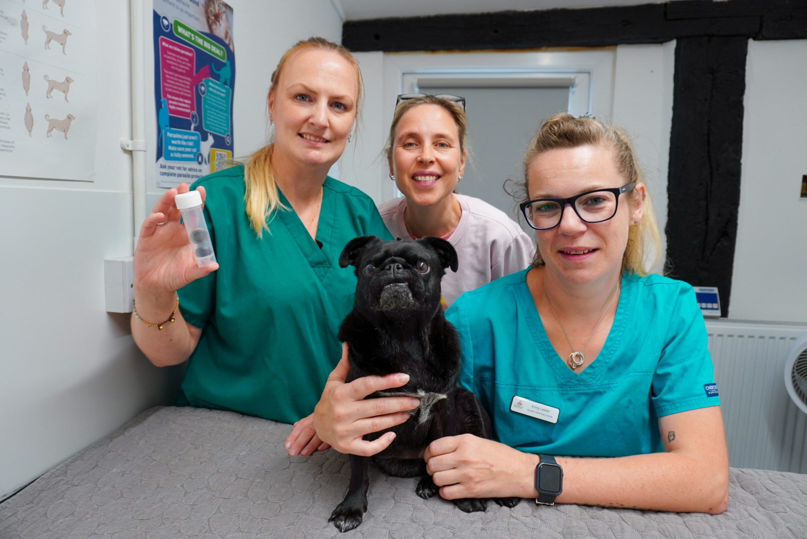 Life-saving surgery for Penny the Pug who swallowed loose change